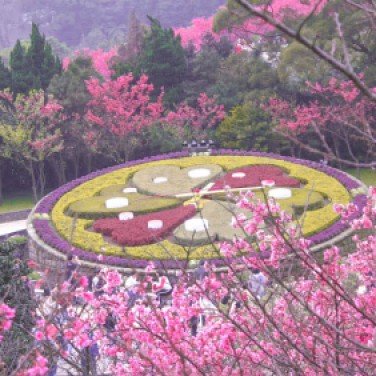 Yangmingshan National Park