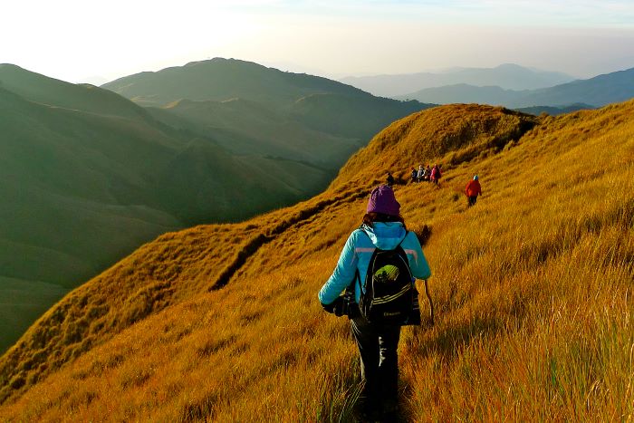 MT. PULAG TRAVEL GUIDE